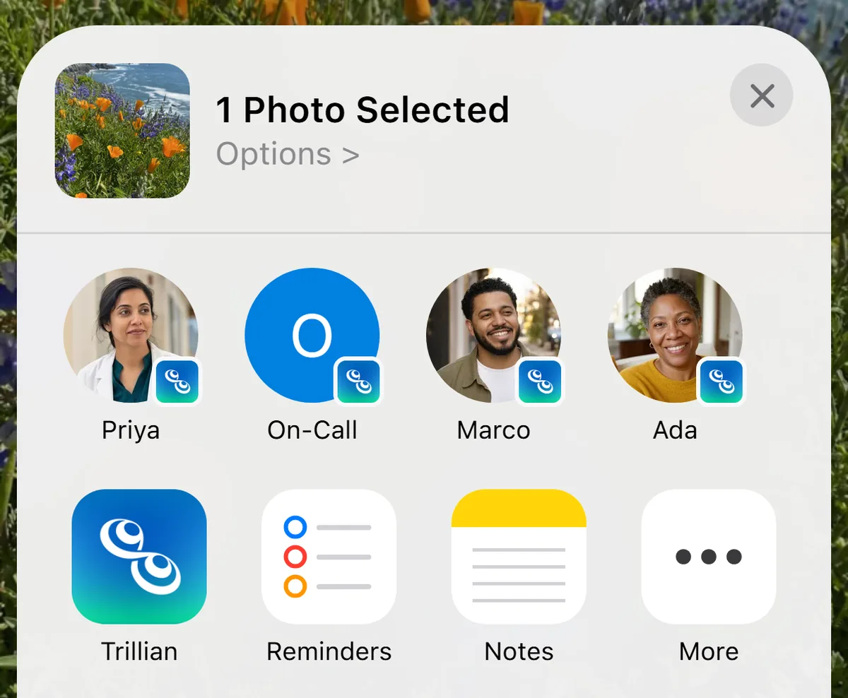 Trillian in the share sheet